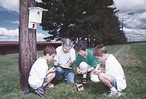 checking bird boxes