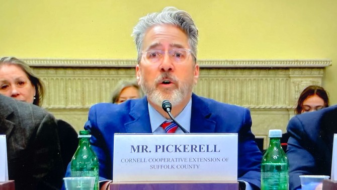 Chris Pickerell