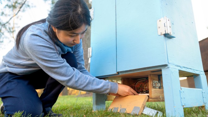 A student inspects one of the outdoor food pantries.