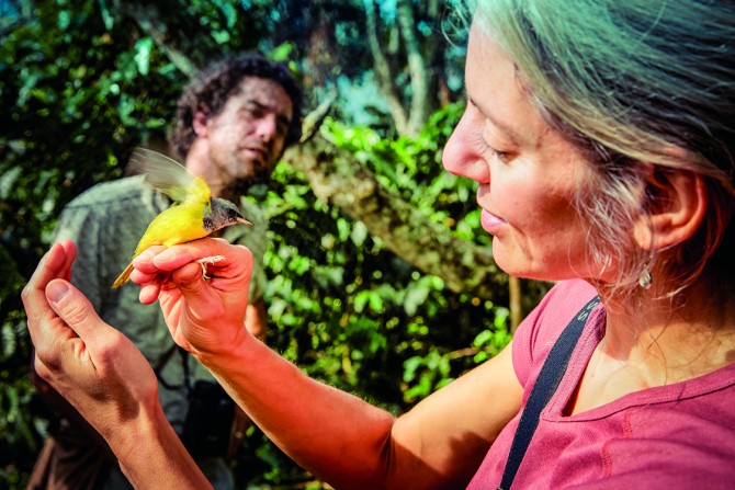 Amanada Rodewald, director of conservation science, Cornell Lab of Ornithology