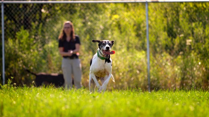 Heather Huson and sled dog at Baker