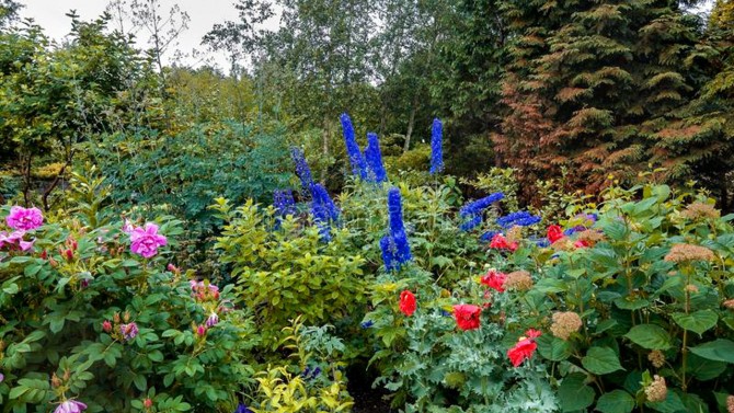 Botanic Gardens