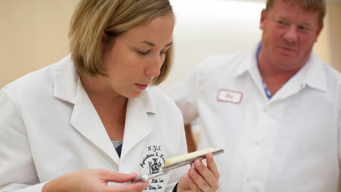 Rob Ralyea, extension associate in food science, background, looks on as Heather Spraker, a dairy products specialist from the New York State Department of Agriculture (NYSDA) and Markets, examines a cheddar core in judging the state's best cheeses in 2015.