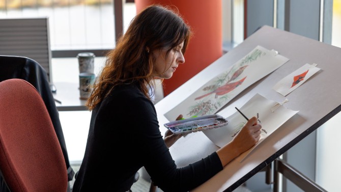 Lauren Richelieu, this year’s Bartels Science Illustration Program artist-in-residence, works on an illustration of cardinals in her workspace overlooking Sapsucker Woods Pond at the Cornell Lab of Ornithology.