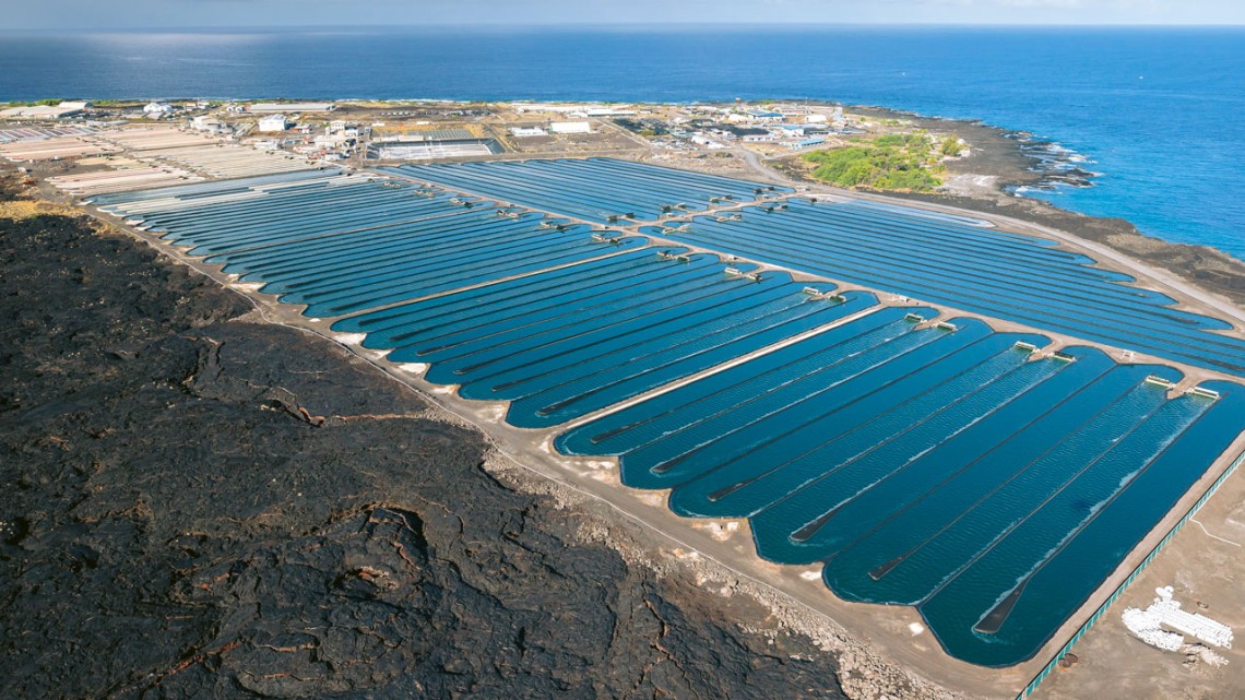 Microalgae cultivation facility